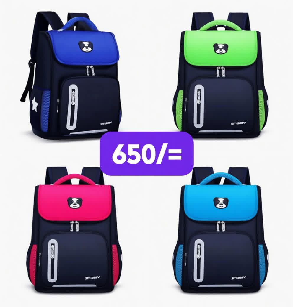 SCHOOL BAG